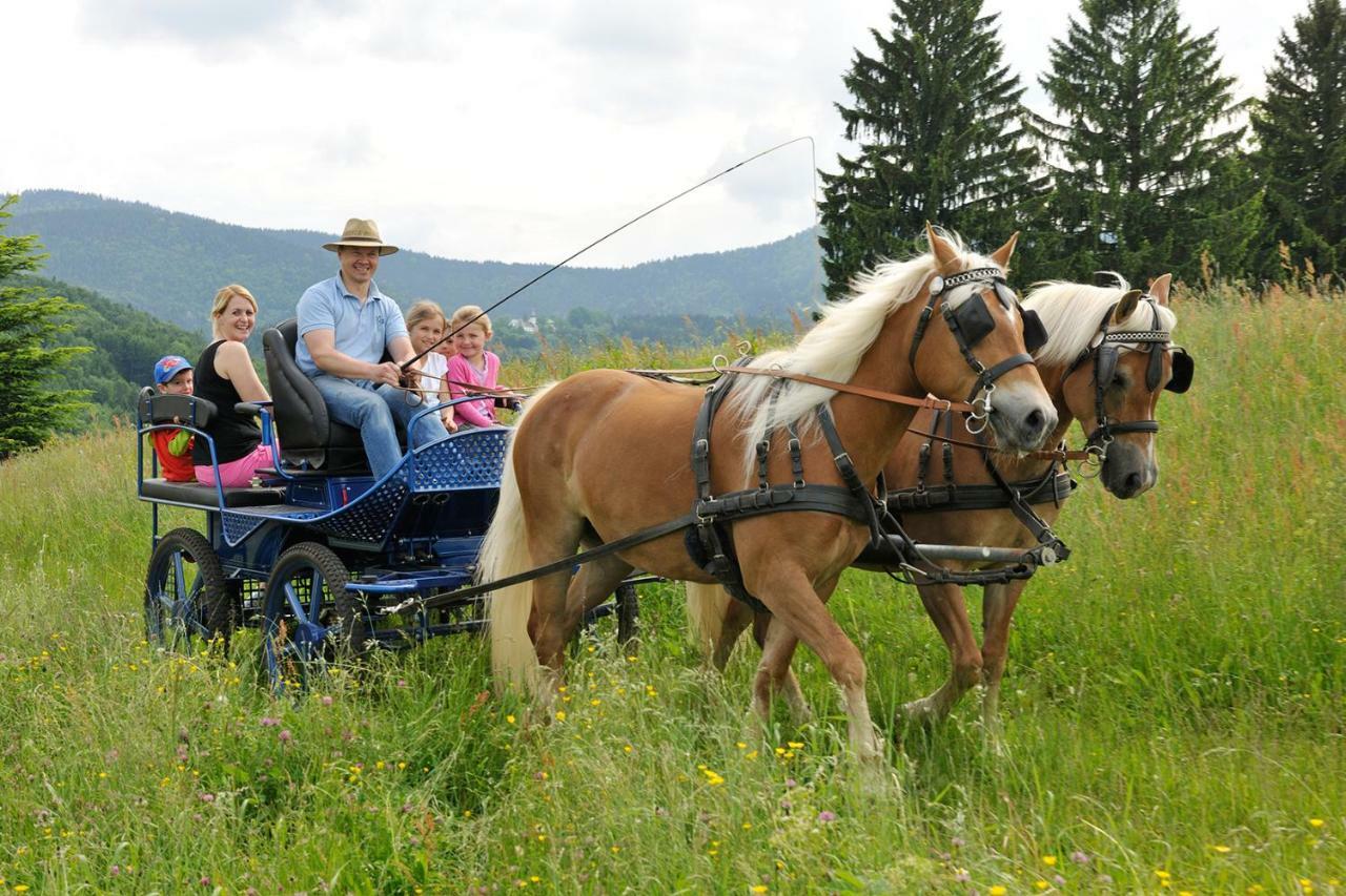 Hochgallinger Hof Siegsdorf Kültér fotó